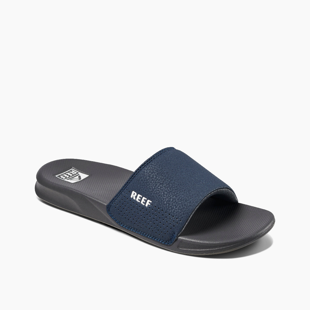 Reef One Slide - Image 2